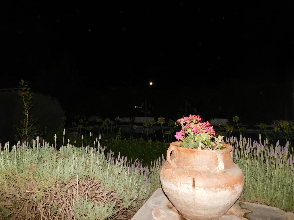 Hotel Portal Del Santo Cafayate Dış mekan fotoğraf